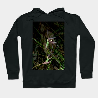 Brown Beaks Orchid In Bloom Hoodie